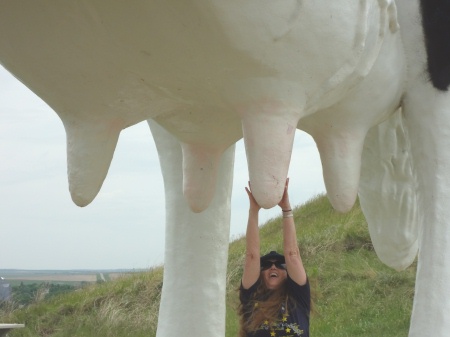 Karen Duquette milking The World's Largest Holstein Cow